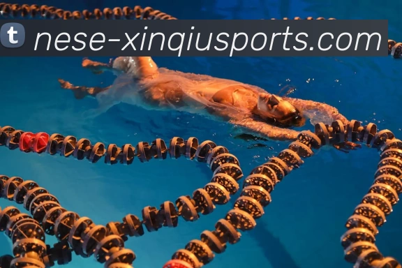 新球体育机构APP 封面图